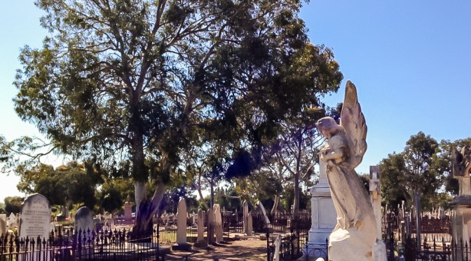 West Terrace Cemetery: a poetic experience