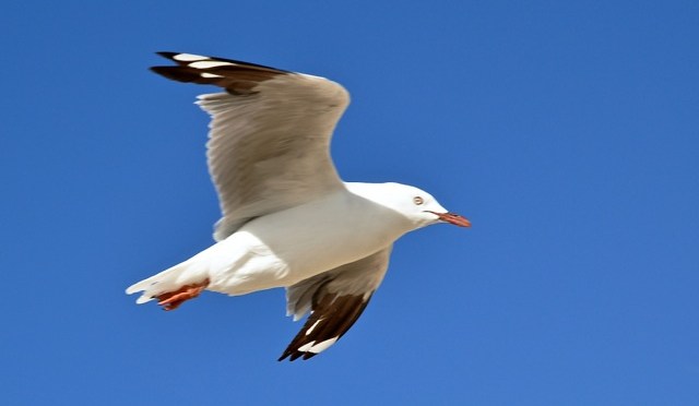 Creative writing class