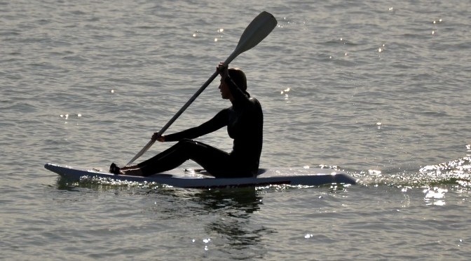 Learn to swim like a dolphin