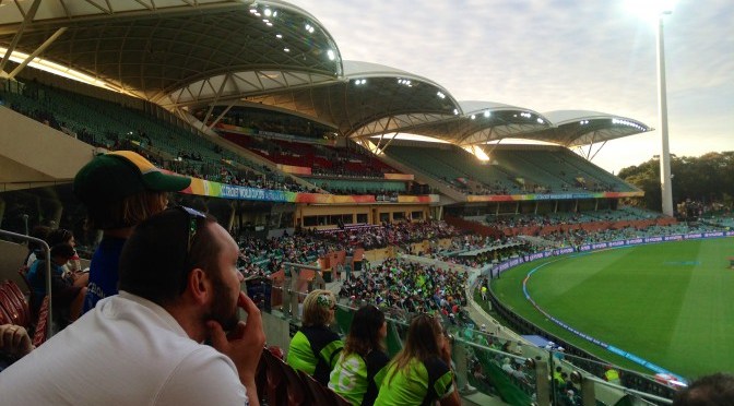 Cricket Match decoded by a French girl