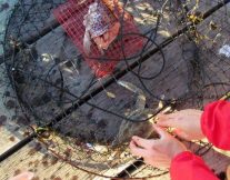 16114520_1806461419626977_1168457014796176118_n